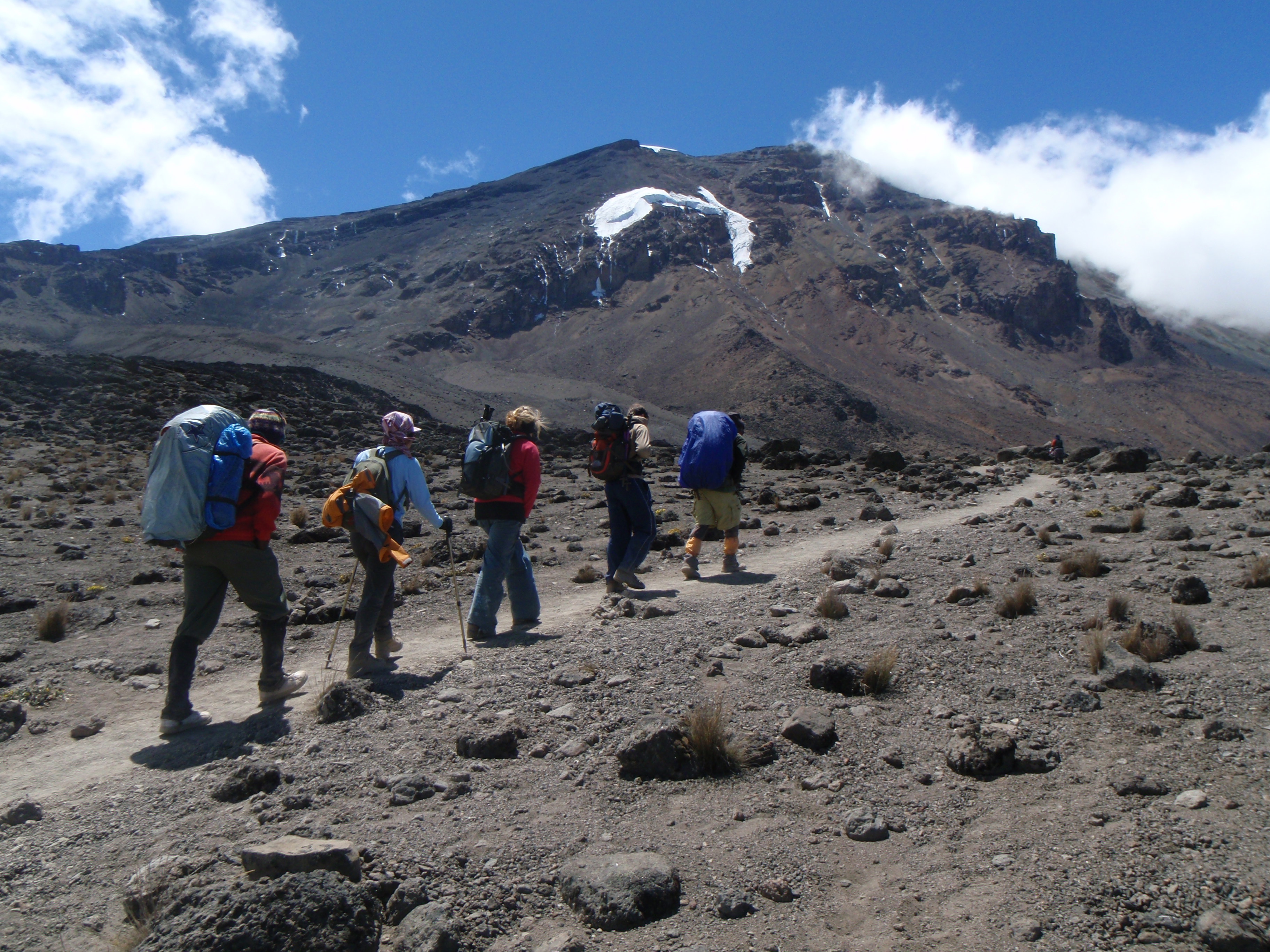 Shira 2 to Barranco Camp via Lava Tower - Day 4 of Lemosho Route